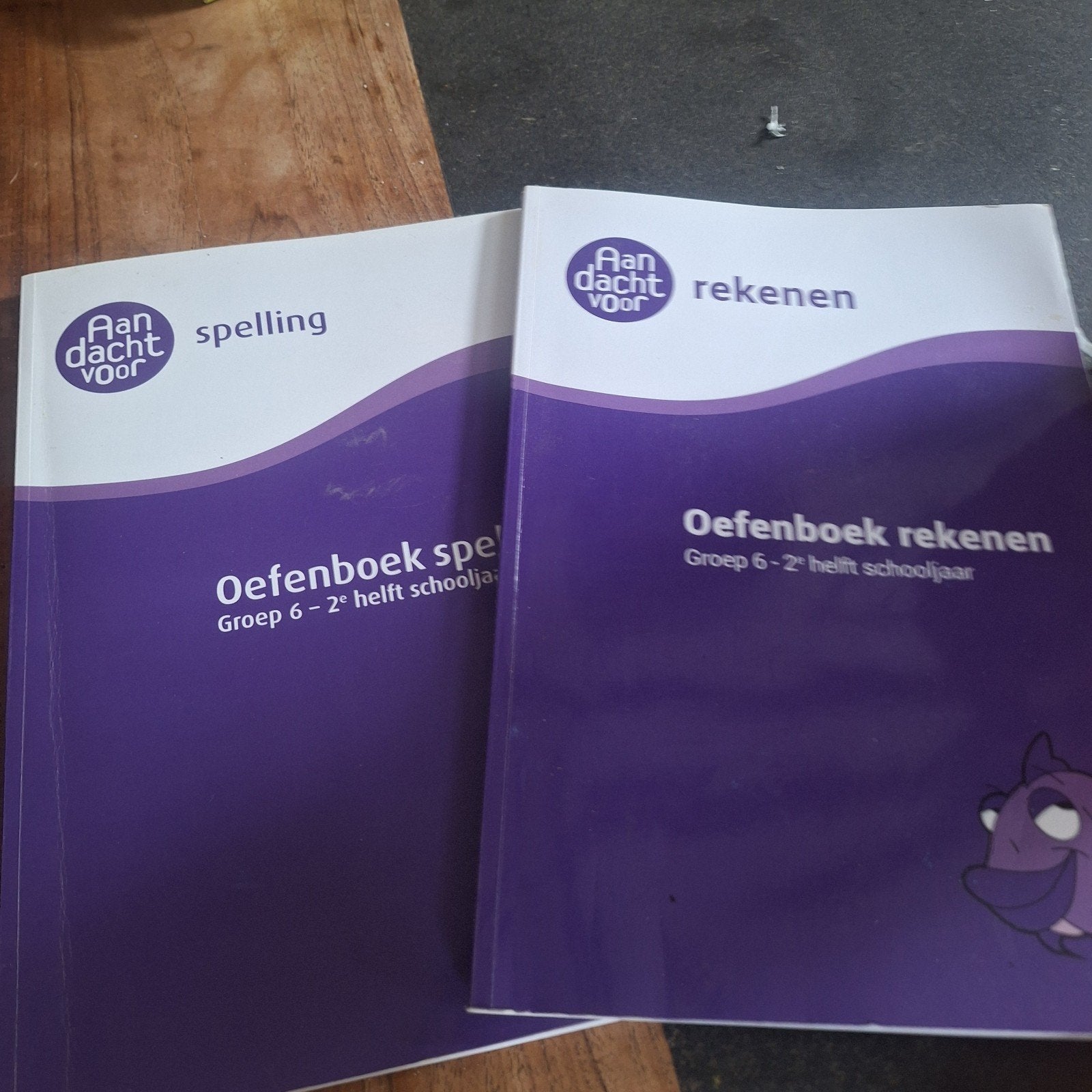 Oefenboeken Wijzer over de Basisschool, Verzenden, Gelezen, Overige niveaus, Nederlands