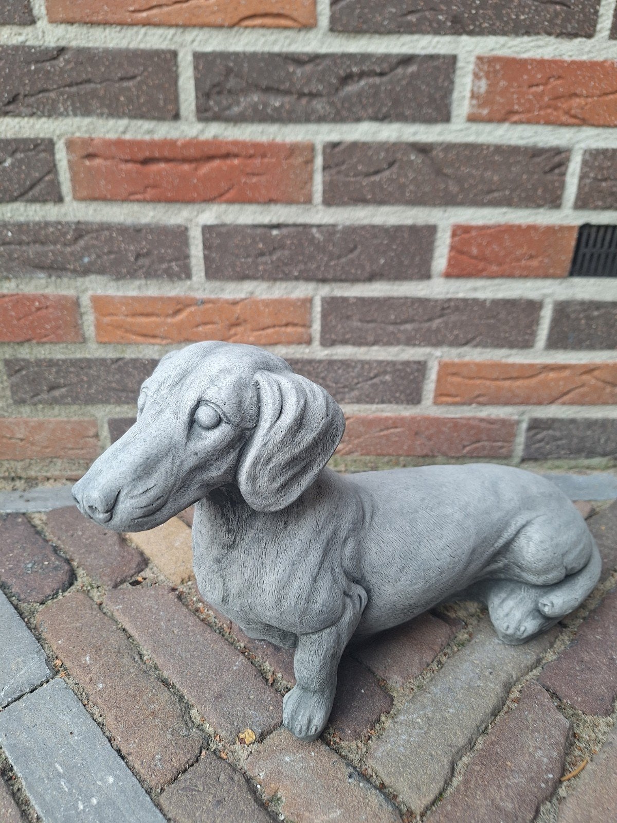 Betonnen Teckel Beeld - Lengte 25 cm, Ophalen, Nieuw, Beton, Dierenbeeld