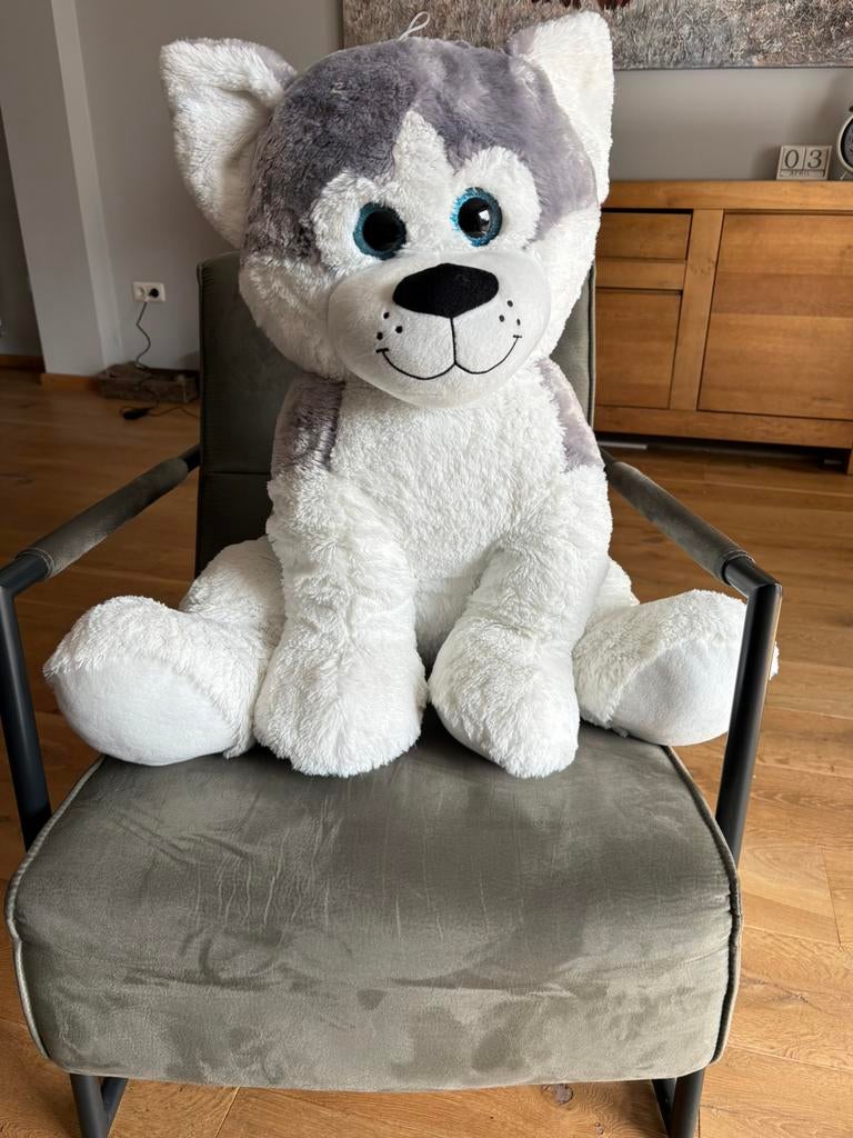 Grote knuffel husky, Ophalen, Nieuw, Overige typen