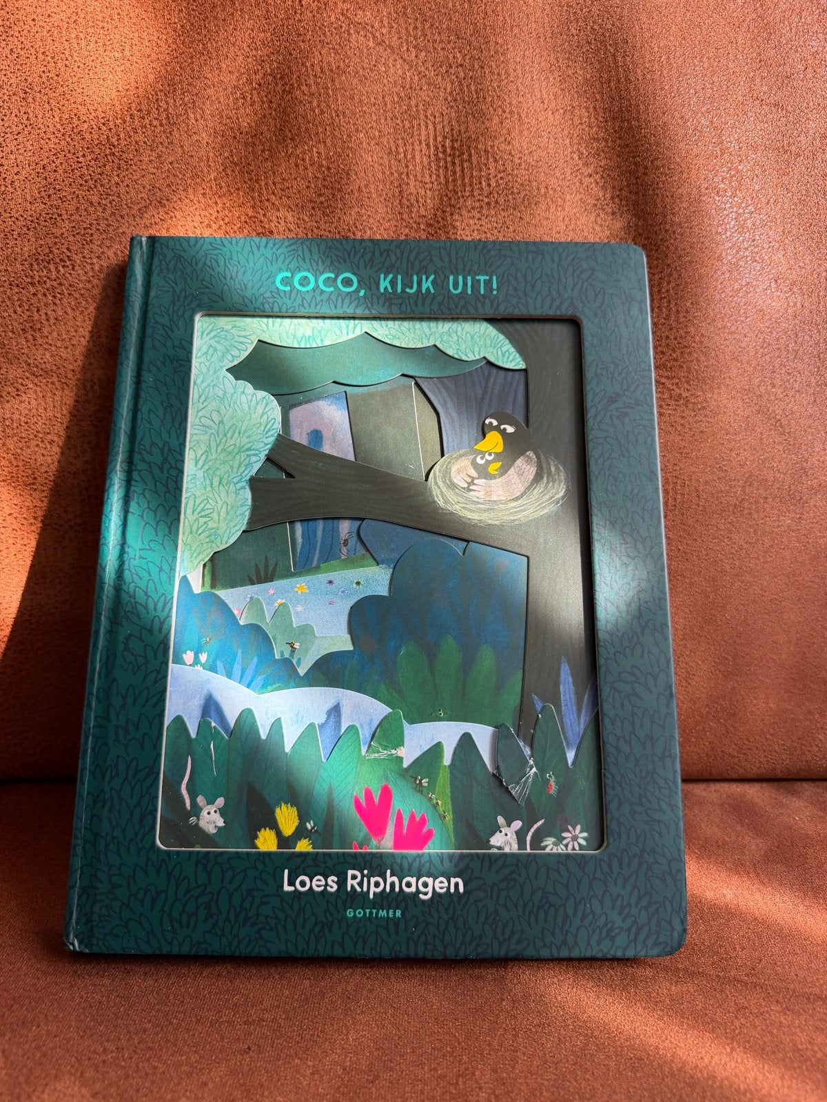 Coco, Kijk Uit! - Loes Riphagen (Gottmer), Ophalen of Verzenden, Zo goed als nieuw, Uitklap-, Voel- of Ontdekboek, 0 tot 6 maanden