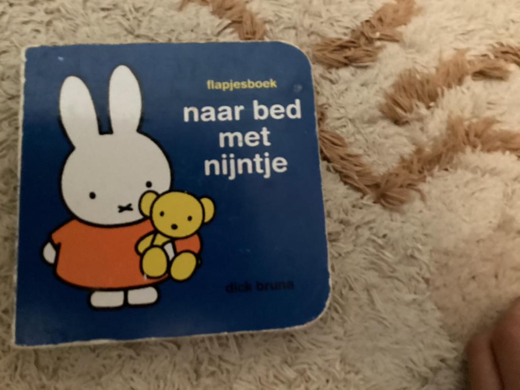 Flapjesboek: Naar bed met Nijntje, Gelezen, 6 tot 12 maanden, Ophalen of Verzenden, Uitklap-, Voel- of Ontdekboek