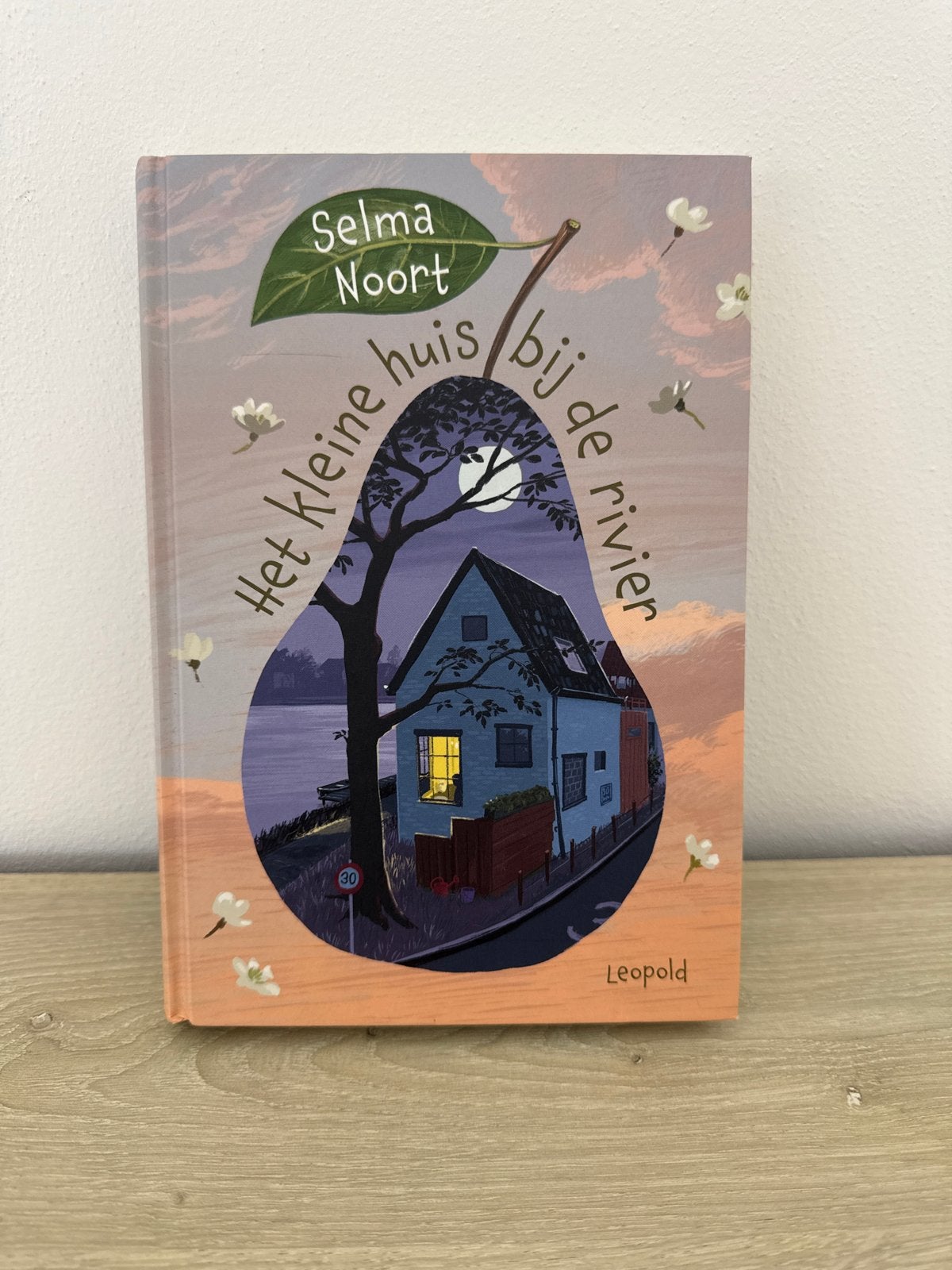 Het kleine huis bij de rivier - Selma Noort, Ophalen of Verzenden, Zo goed als nieuw, Fictie algemeen