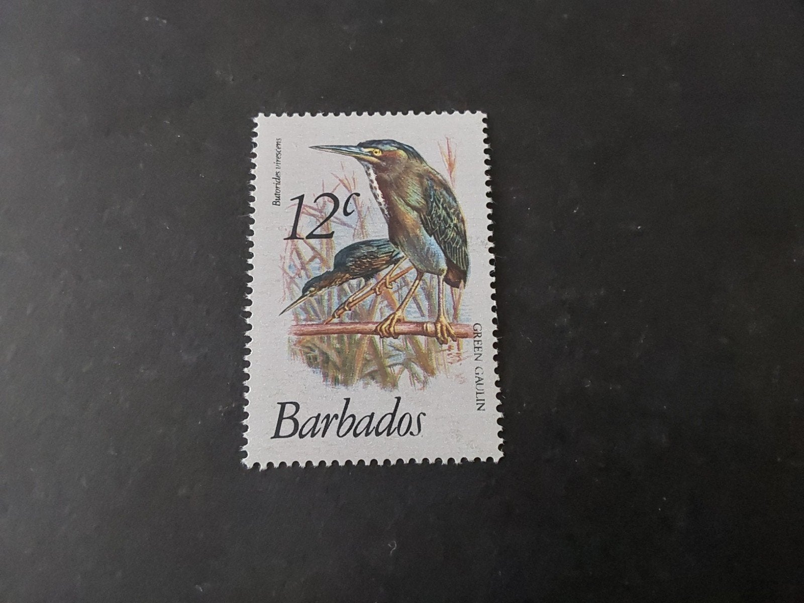 Barbados, SG 627, Verzenden, Postfris, Noord-Amerika