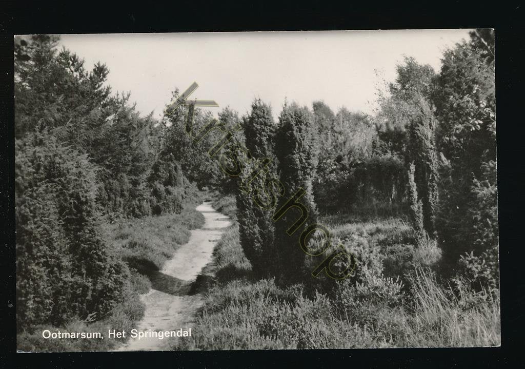 Ootmarsum - Het Springendal [003-6944, Verzenden, 1960 tot 1980, Ongelopen, Overijssel
