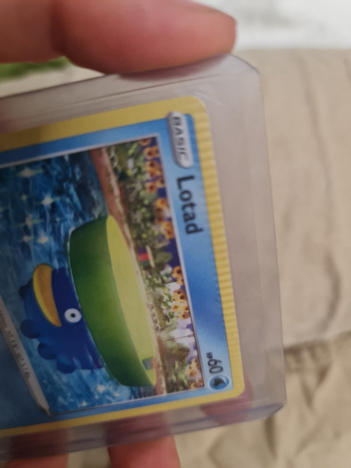 Lotad Pokémon kaart met misdruk (crimp), Ophalen of Verzenden, Zo goed als nieuw, Losse kaart