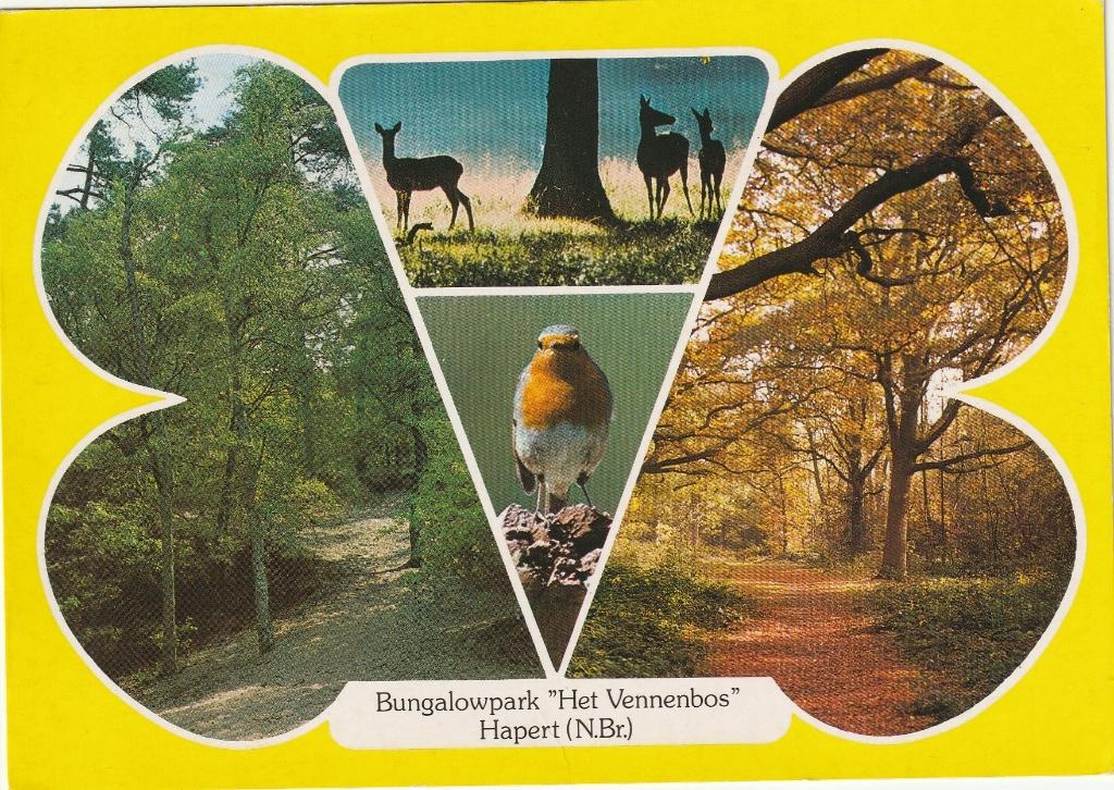 Ansichtkaart bungalowpark Het Vennenbos Hapert, Verzamelen, Ansichtkaarten | Nederland, Ophalen of Verzenden, 1980 tot heden, Gelopen