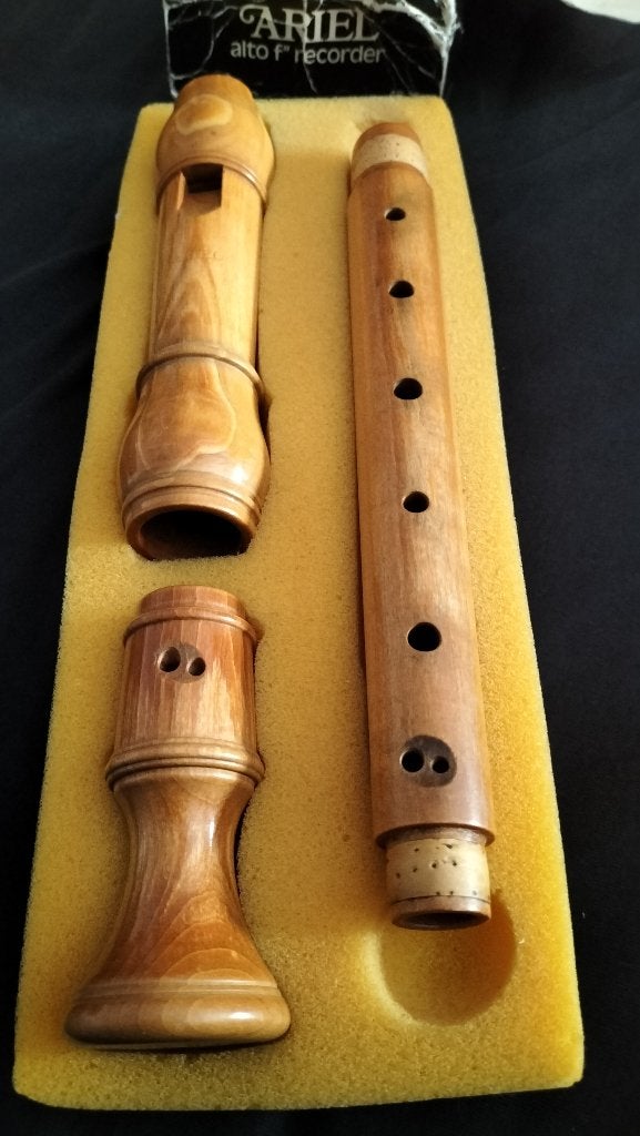Ariel Alto Blokfluit * Onbespeeld * Nieuw, Muziek en Instrumenten, Blaasinstrumenten | Blokfluiten, Ophalen, Nieuw, Alt