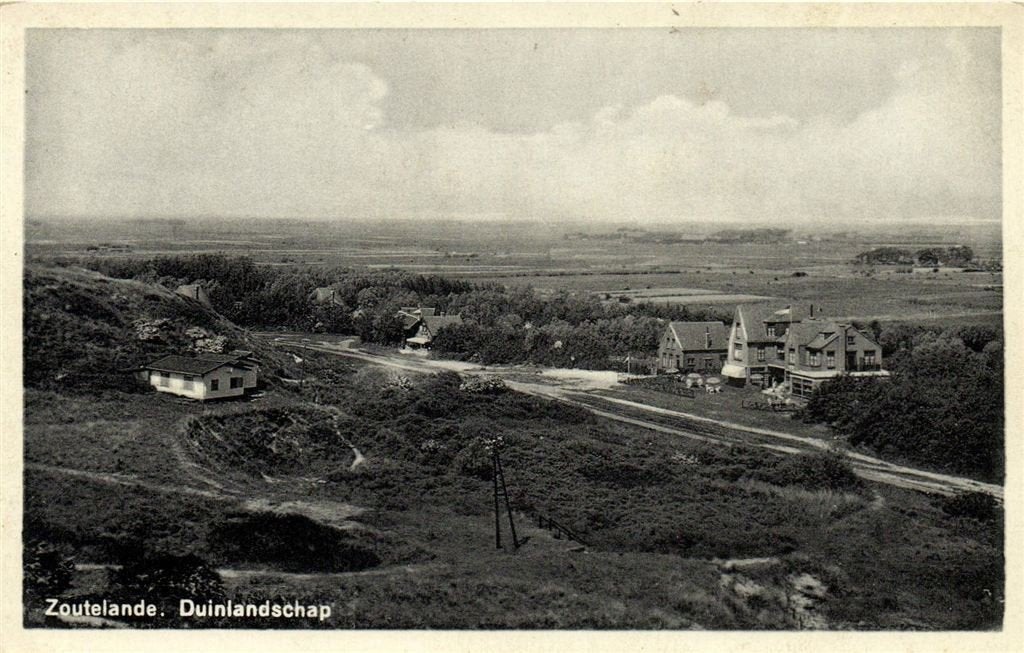 Zoutelande. Duinlandschap - ongelopen, Verzenden, 1940 tot 1960, Ongelopen, Noord-Brabant