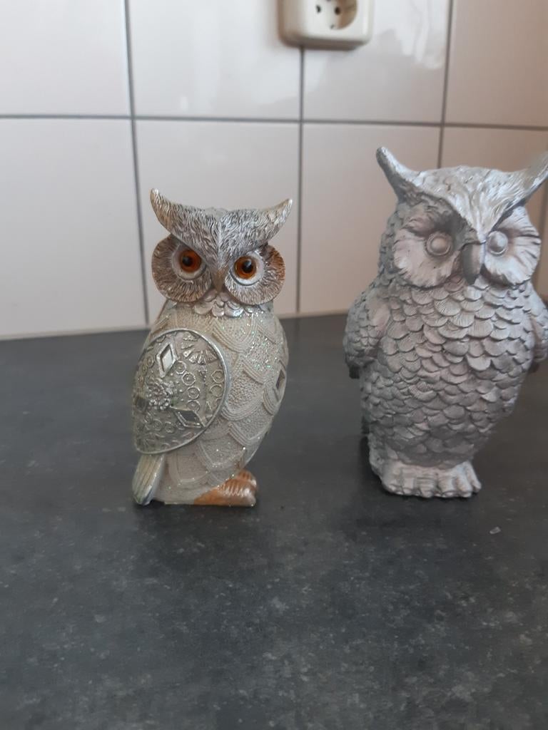 2 uilen, Ophalen, Zo goed als nieuw, Dier