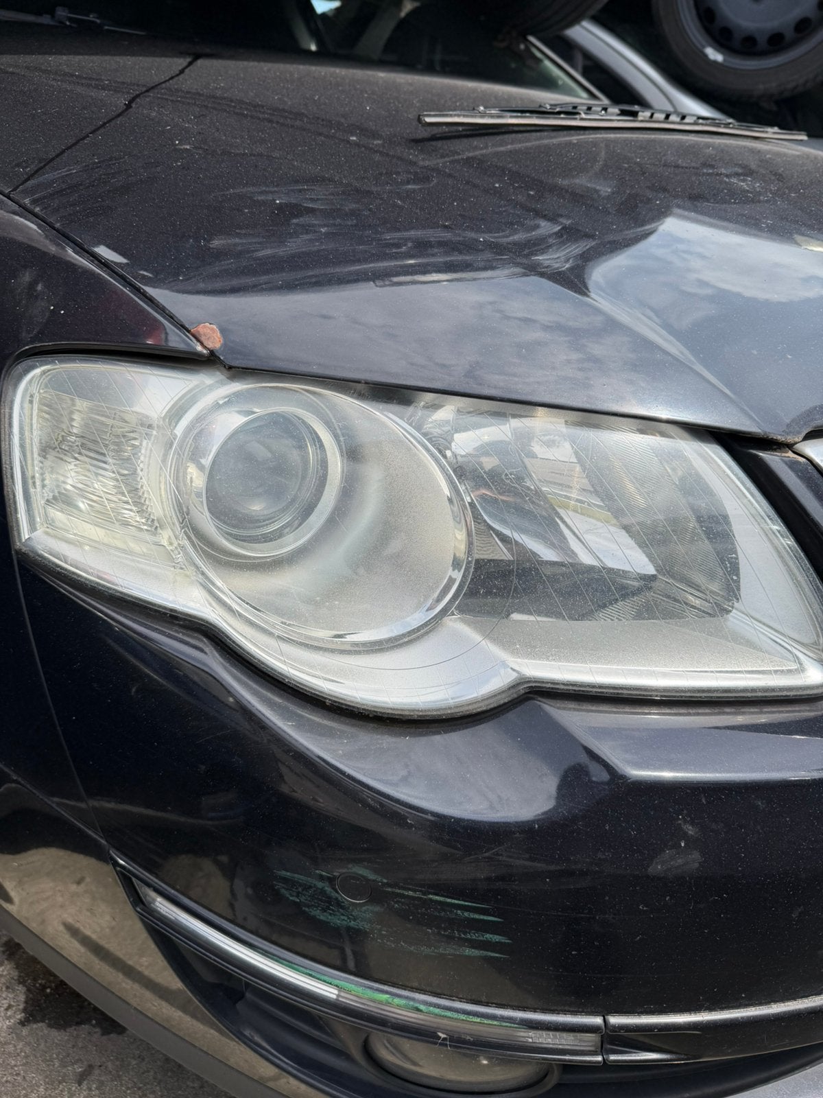 Vw passat xenon koplampen, Ophalen of Verzenden, Nieuw