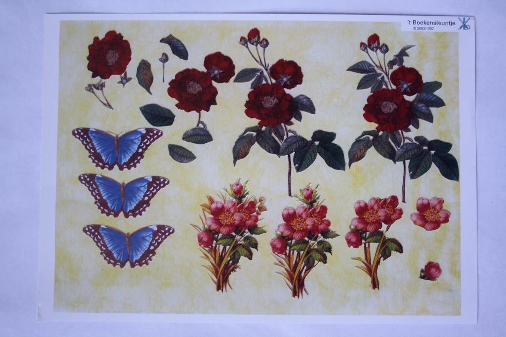 Knipvel 3D bloemen 6930, Ophalen of Verzenden, Nieuw, Natuur, Knipvel