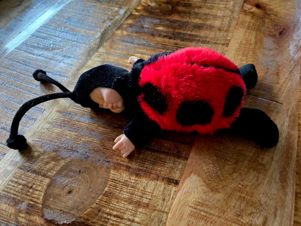 Lieveheersbeestje Anne Geddes., Ophalen, Overige typen