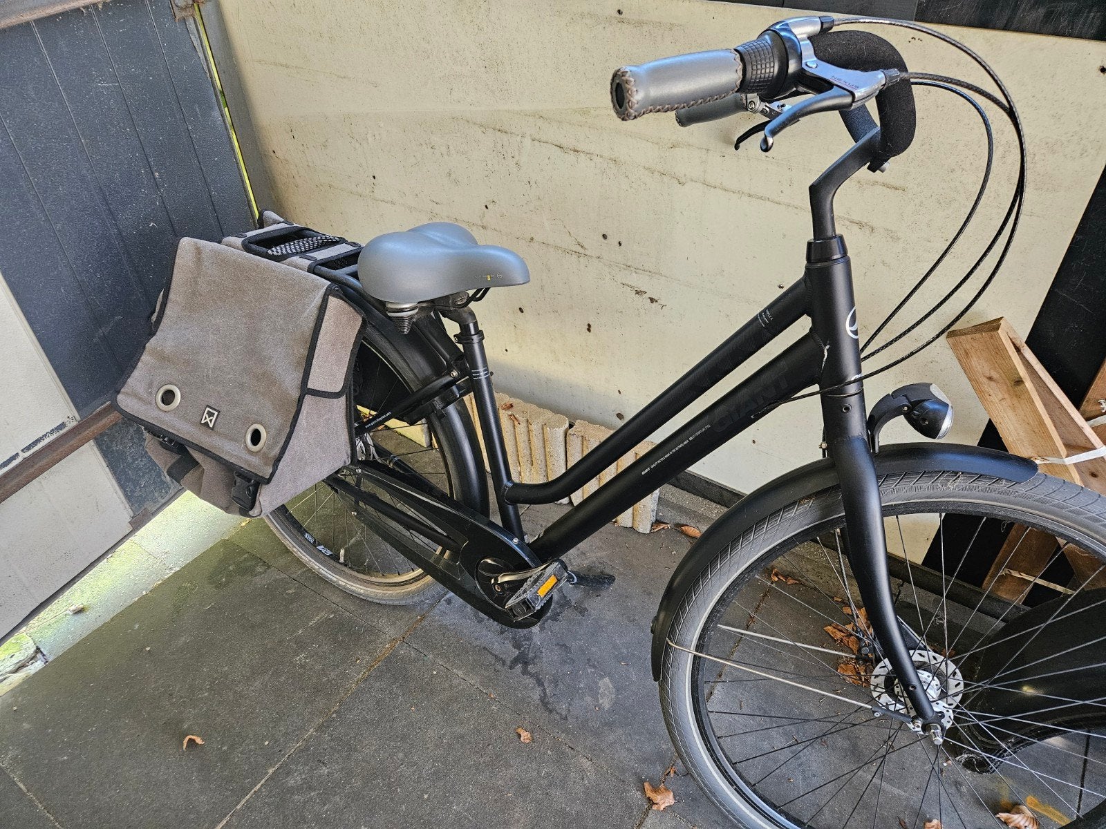 Giant Damesfiets - Comfortabel en Stijlvol, Ophalen