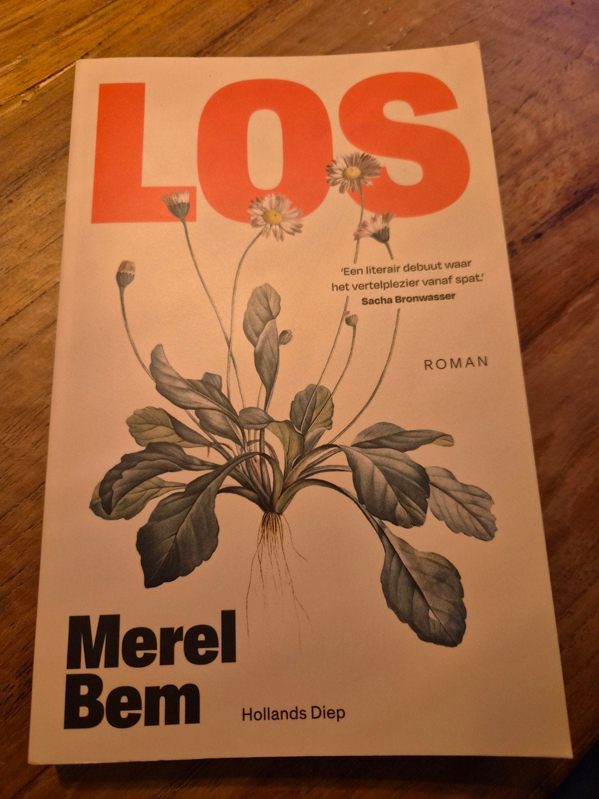 LOS - Merel Bem (Roman), Boeken, Ophalen of Verzenden