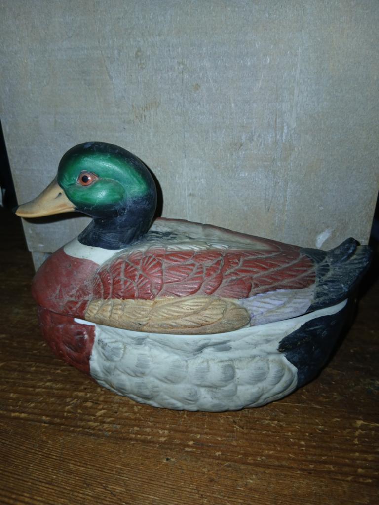 Schaaltje Eend, Ophalen of Verzenden