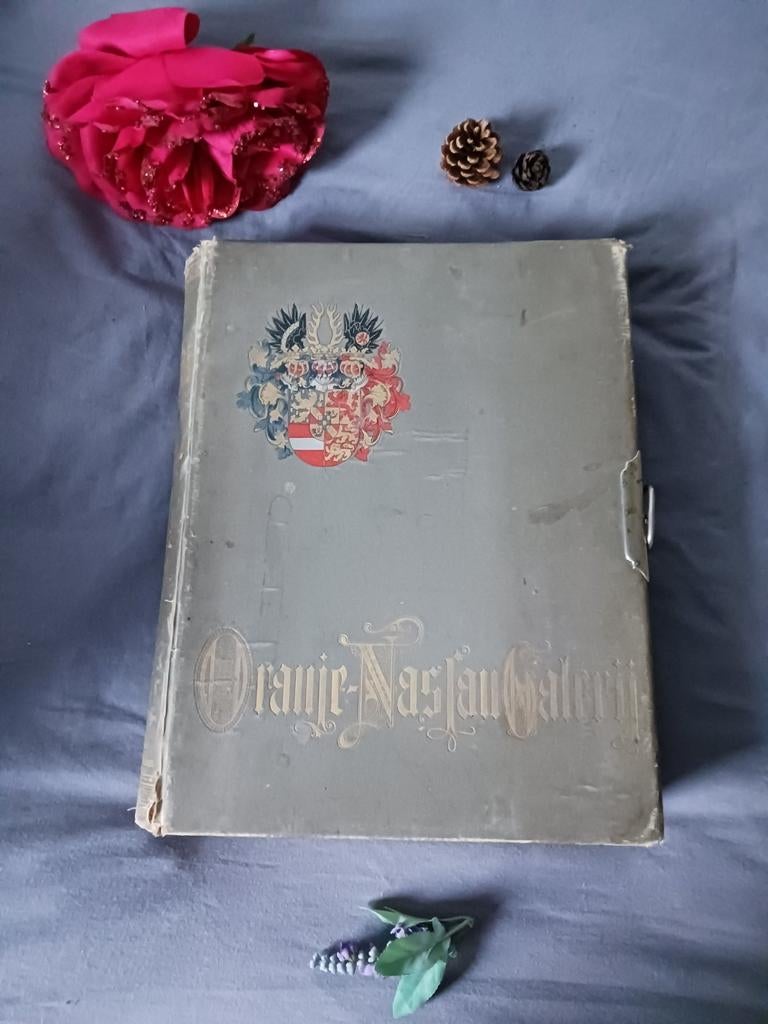 1898 Antiek Oranje-Nassau Galerij -boek-doos-album 120platen, Verzamelen, Ophalen, Gebruikt, Nederland, Kaart, Foto of Prent