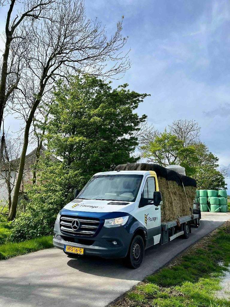 Hooi met analyse! In bundels van 12, Ophalen, Vee