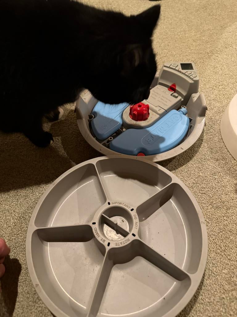 Voerautomaat kat / hond, Ophalen, Automatisch, Zo goed als nieuw