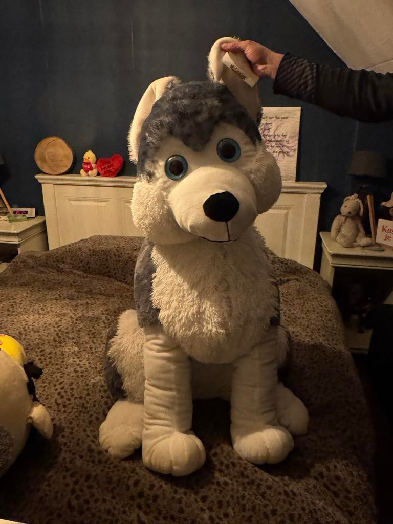 Knuffel Husky Hond - Zacht en Lief!, Kinderen en Baby's, Speelgoed | Knuffels en Pluche, Nieuw, Hond, Ophalen