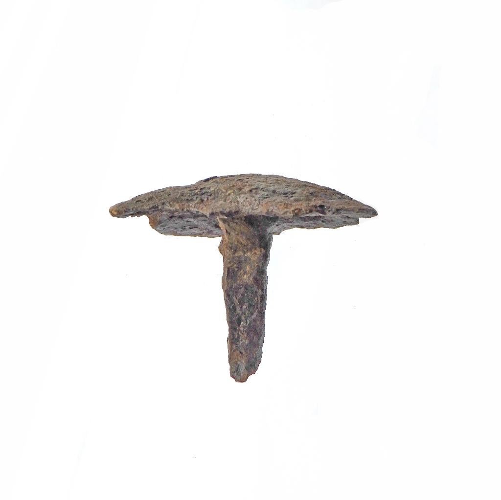 Ijzer grote spijker h51mm b58x52mm    b655, Ophalen of Verzenden