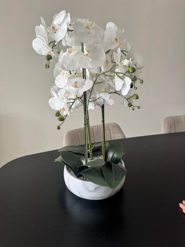 Orgido plant, Verzamelen, Swarovski, Ophalen, Nieuw, Huisaccessoire
