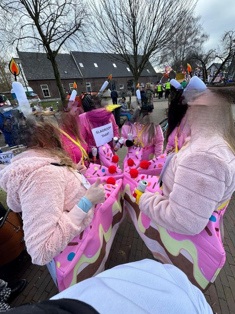 Carnavalskleding: Taartstukjes en Bakkers thema, Carnaval, Ophalen of Verzenden, Zo goed als nieuw, Kleding