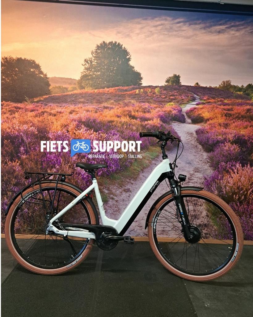 Nieuwe Prophete E-bike, Fietsen en Brommers, Elektrische fietsen, Ophalen, Nieuw, Overige merken