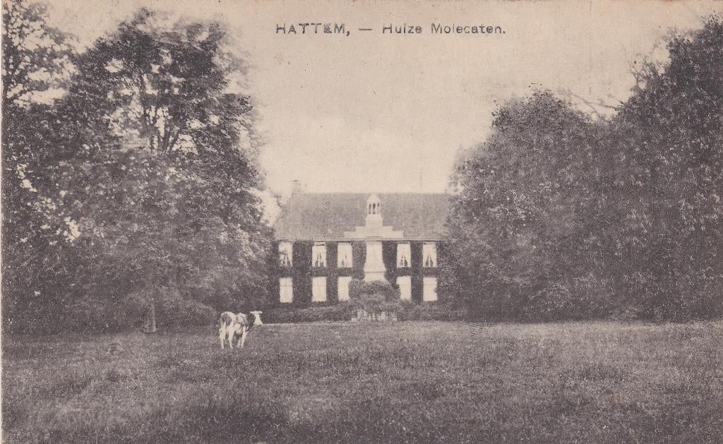 Hattem Huize Molecaten, Ophalen of Verzenden, 1940 tot 1960, Ongelopen, Gelderland
