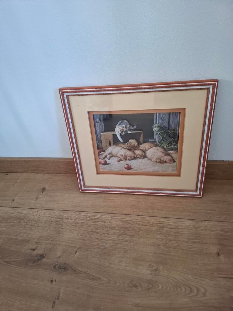 Schilderij van slapende puppy's en kat, Ophalen of Verzenden