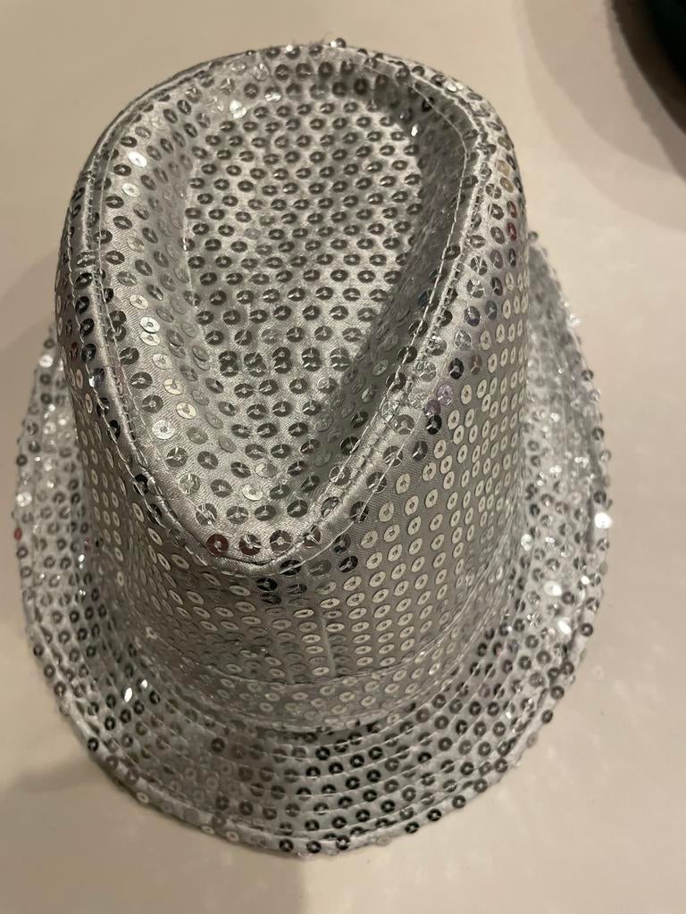 Zilveren glitter hoedje nieuw, Ophalen of Verzenden, Nieuw, One size fits all