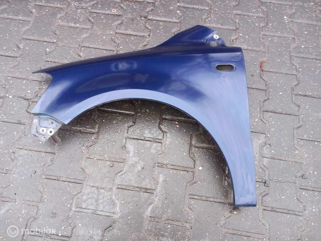 Spatscherm Volkswagen Fox, Ophalen of Verzenden, Gebruikt