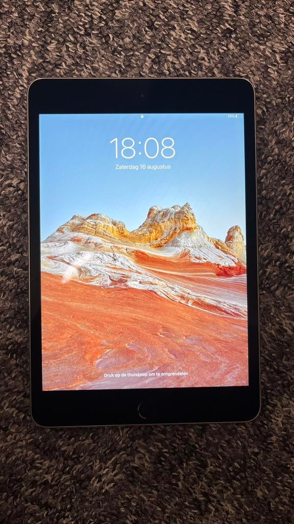 Ipad 4 mini, Computers en Software, Apple iPads, Ophalen, Gebruikt, 8 inch, 16 GB