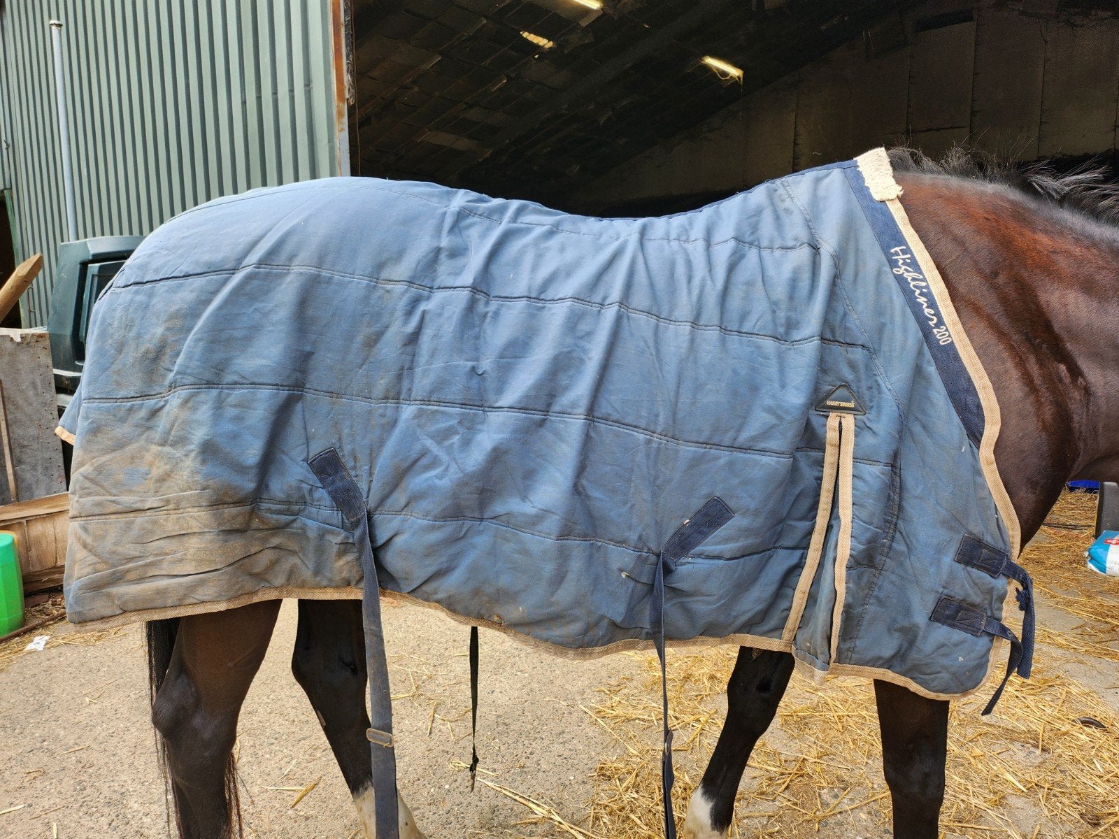 Onderdeken 215, Dieren en Toebehoren, Paarden en Pony's | Dekens en Dekjes, Zo goed als nieuw, Harry's Horse, Blauw, Deken