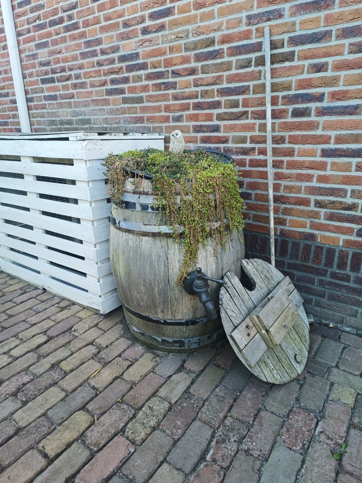 oude wijnton, Ophalen, Gebruikt, Minder dan 30 cm, Rond