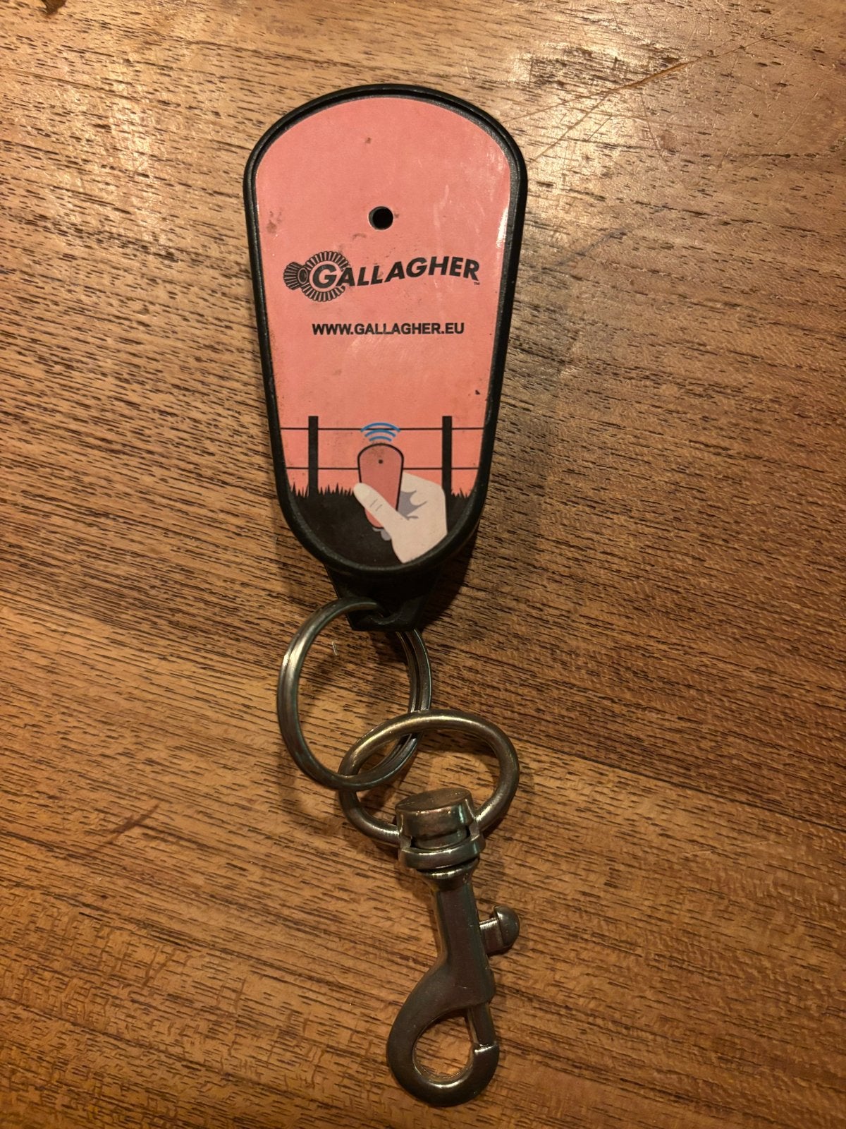Gallagher Sleutelhanger Afrastering Tester, Weidegang