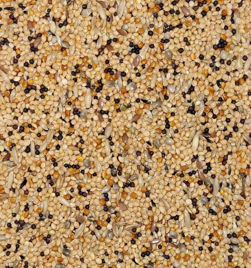 V135 - Paloma Volièremengeling 20KG, Ophalen, Vogel