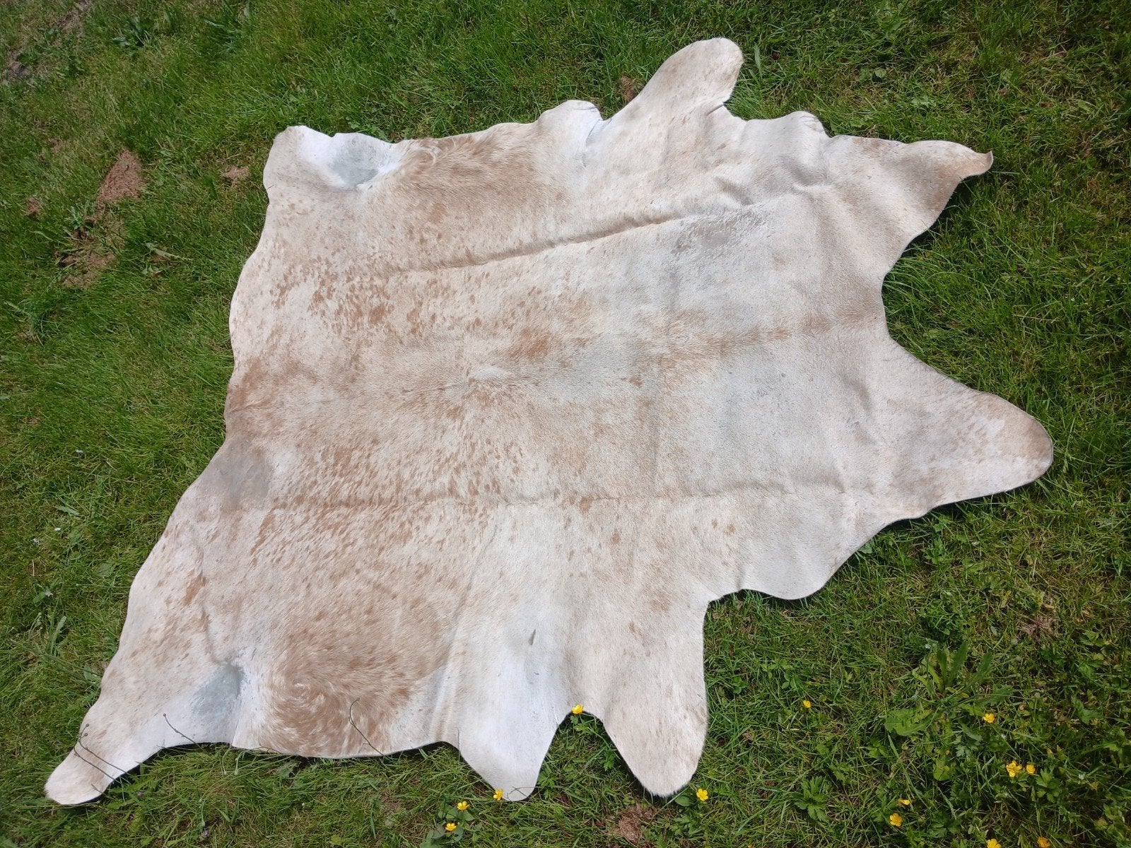 Koeienhuid vloerkleed 200 x 215 cm, Ophalen of Verzenden, Gebruikt