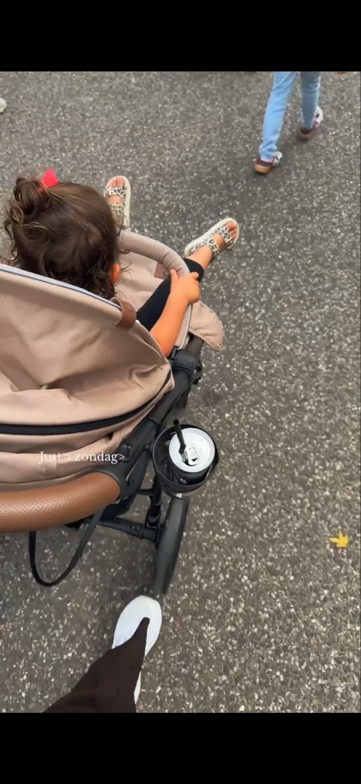 Lionelo Annet Plus Buggy - Zo goed als nieuw