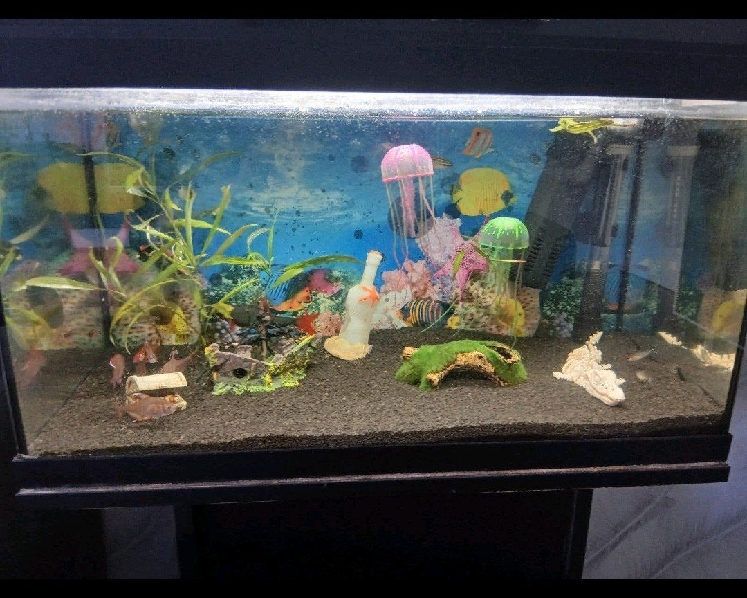 zgan Juwel 60 liter aquarium, Dieren en Toebehoren, Ophalen, Zo goed als nieuw, Leeg aquarium, Juwel