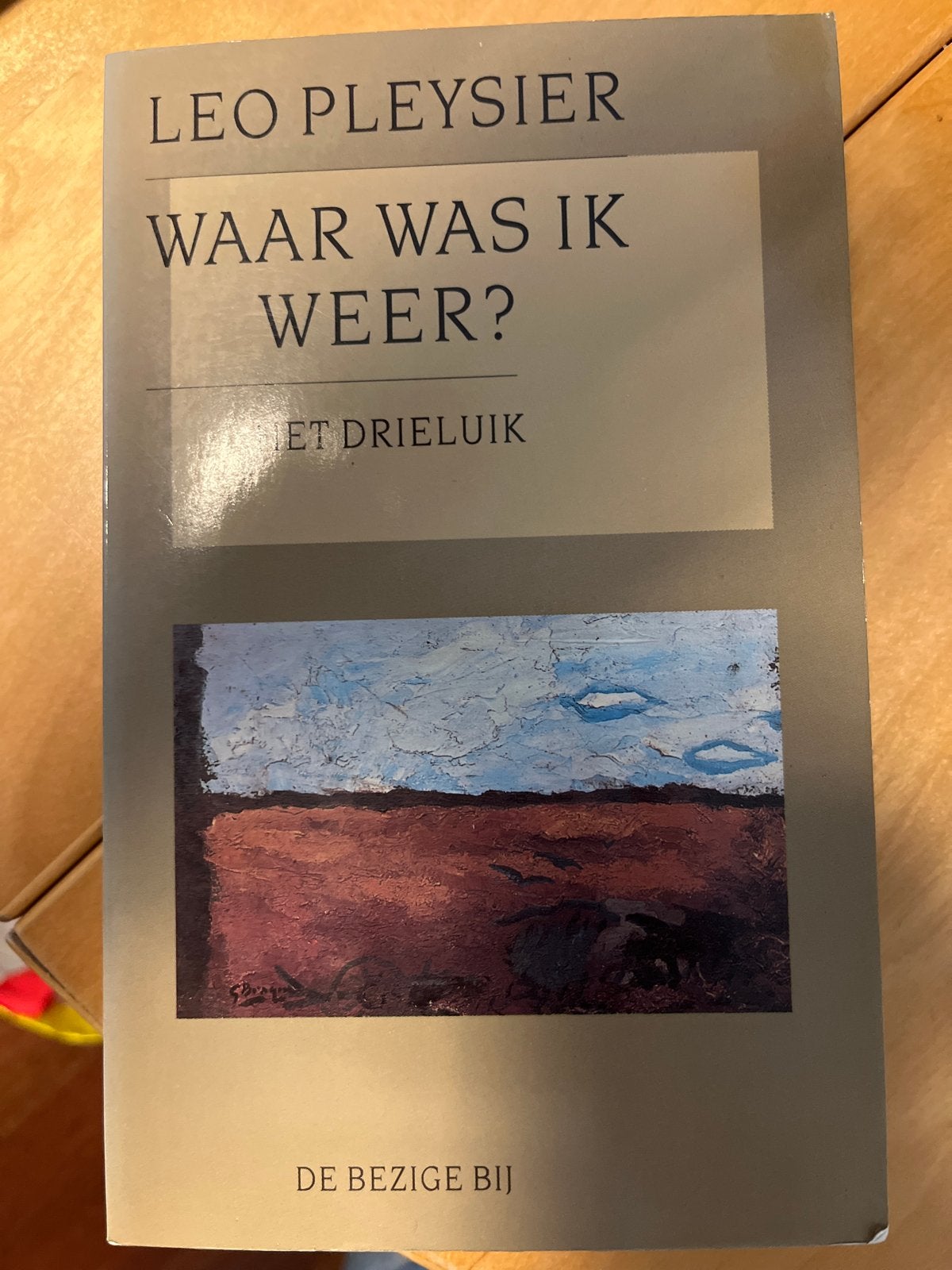 Leo Pleysier - Waar was ik weer? (De Bezige Bij), Boeken, Ophalen of Verzenden, Gelezen, Nederland