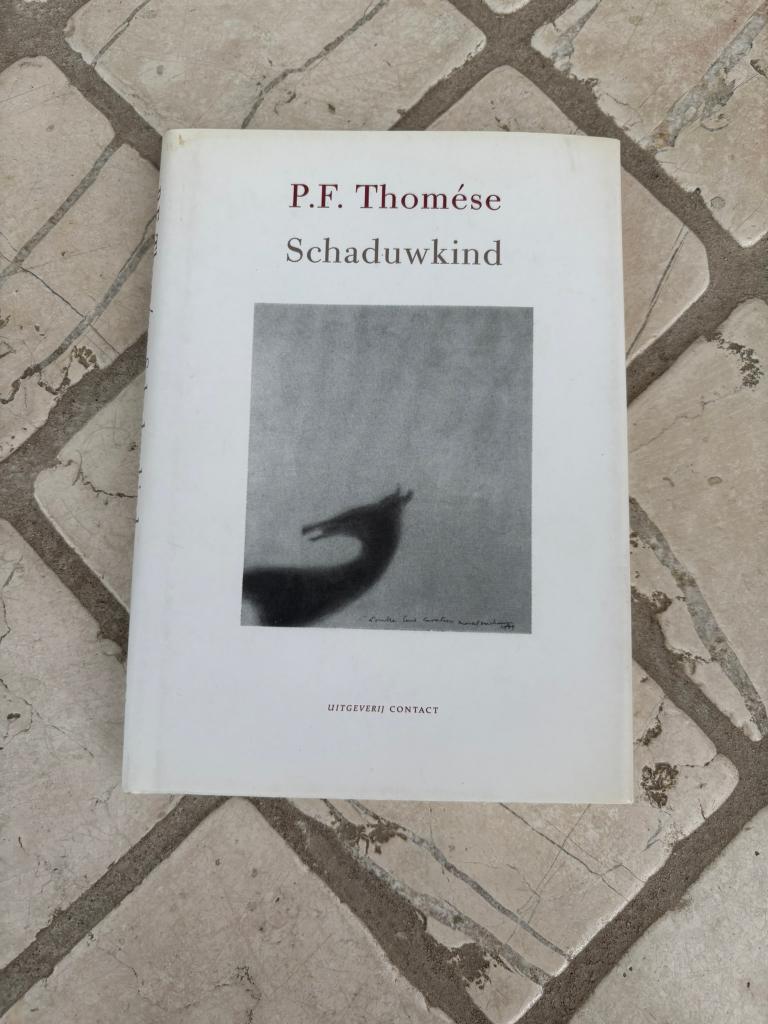 Pf thomese schaduwkind hardcover boekje 2004!, Boeken, Ophalen of Verzenden, Zo goed als nieuw, P.F. Thomése
