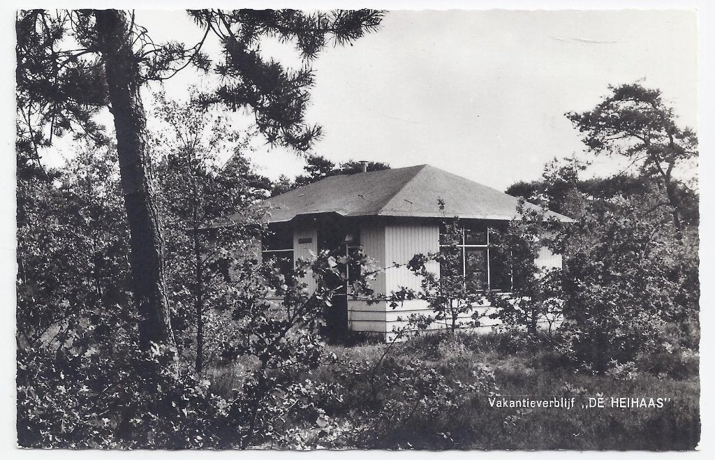 Putten De Heihaas - Oude gelopen ansichtkaart B738, Ophalen of Verzenden, 1960 tot 1980, Gelopen, Gelderland