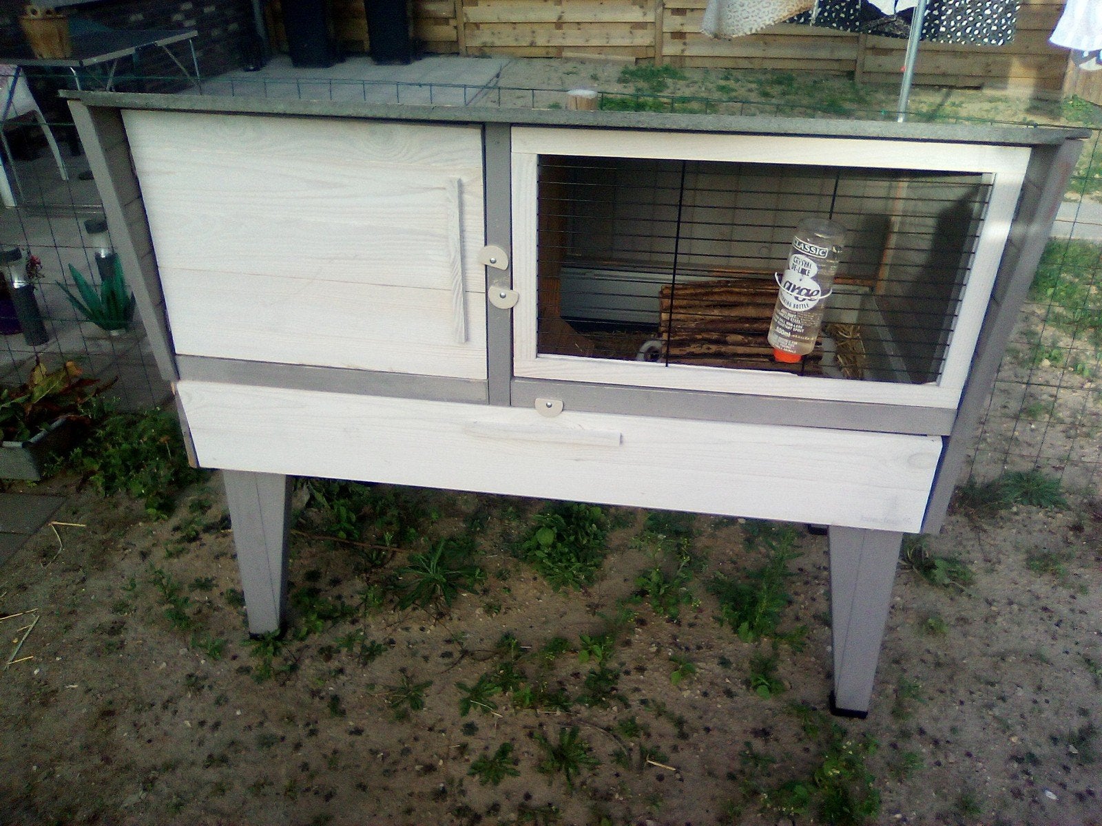 Lucky zoekt een liefdevol huis, Ophalen, Hok, Konijn, Minder dan 60 cm