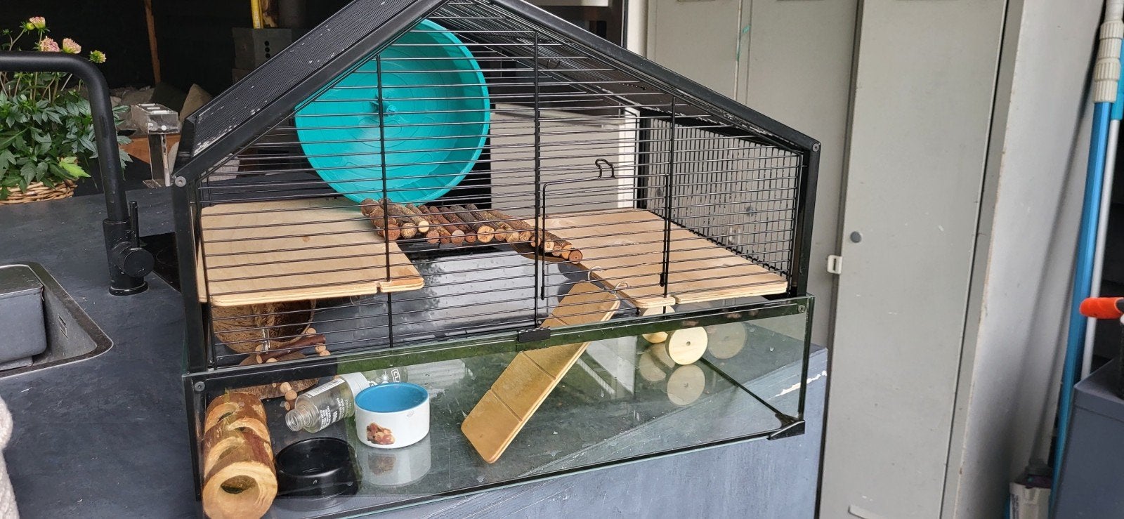 Hamsterkooi inclusief veel toebehoren, Dieren en Toebehoren, Knaagdieren en Konijnen | Hokken en Kooien, Kooi, Minder dan 75 cm