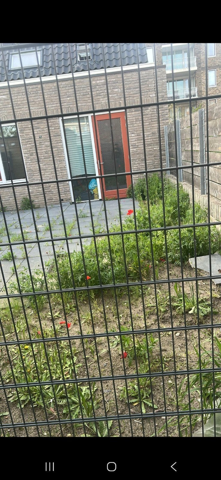 Tuinman beschikbaar oktober november, Ophalen of Verzenden