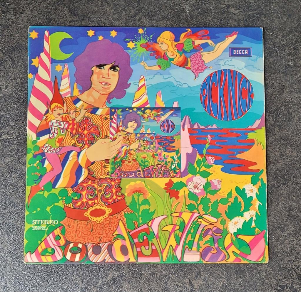 Boudewijn de Groot, Cd's en Dvd's, Vinyl | Nederlandstalig, Gebruikt, Levenslied of Smartlap, Overige formaten, Ophalen of Verzenden
