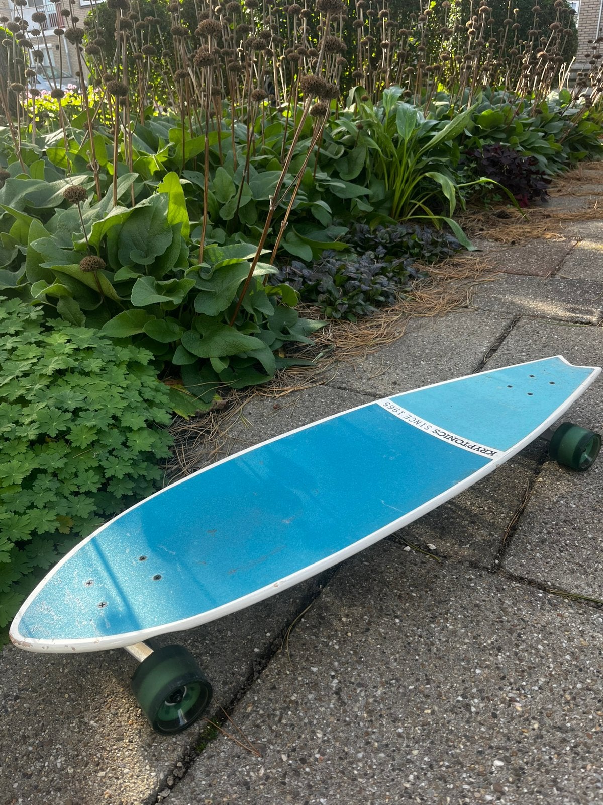 Kryptonics Skateboard, Sport en Fitness, Ophalen, Gebruikt, Longboard