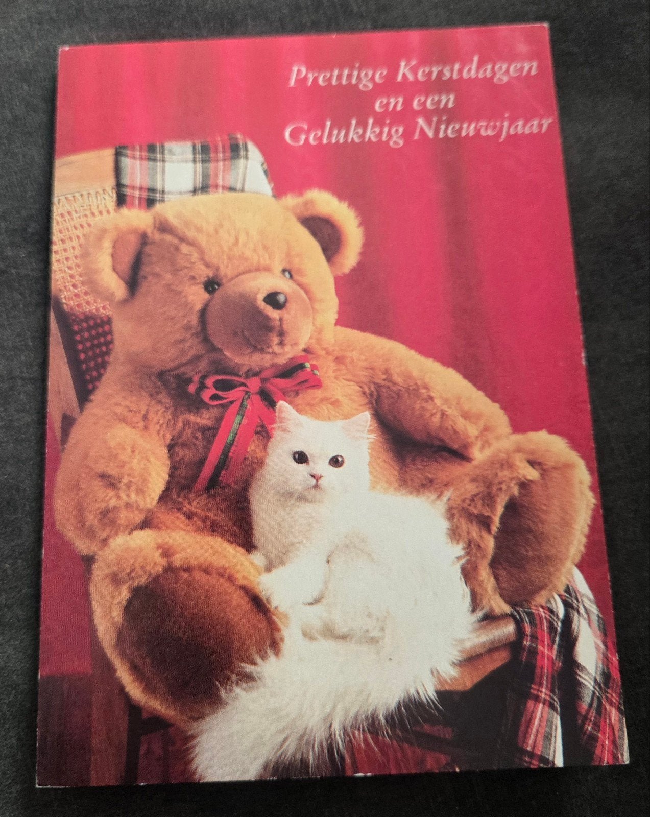 Kerstkaart met teddybeer en kat, Verzenden, 1980 tot heden, Gelopen, Hond of Kat