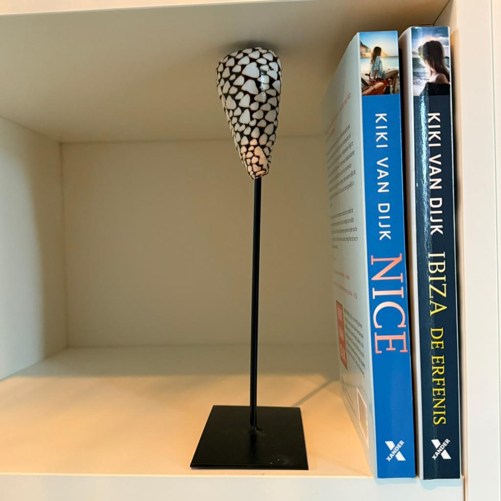 2 boeken Kiki van Dijk, Ophalen of Verzenden, Zo goed als nieuw