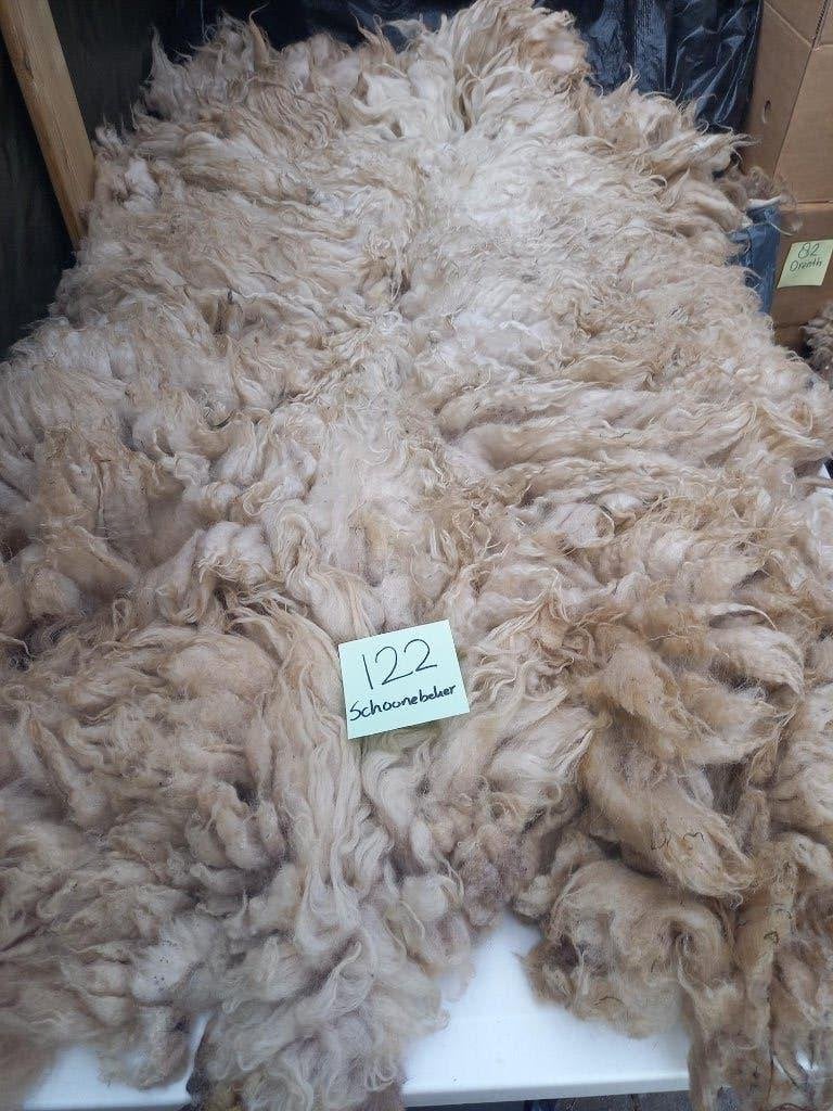 nr 122 Geschoren vacht van een Schoonebeker heideschaap, Ophalen of Verzenden, Nieuw